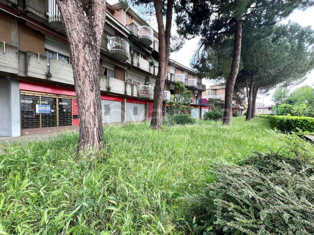 immagine annuncio 12 di 15