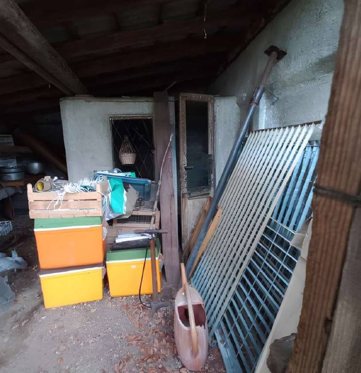 immagine annuncio 3 di 13