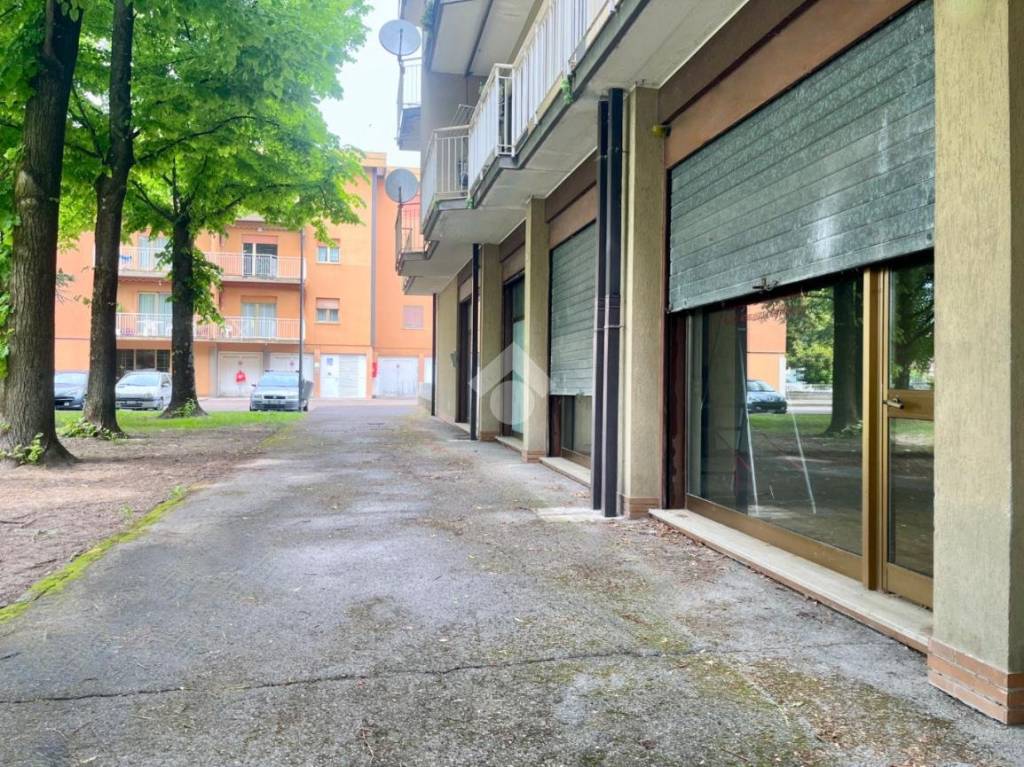 immagine annuncio 2 di 12
