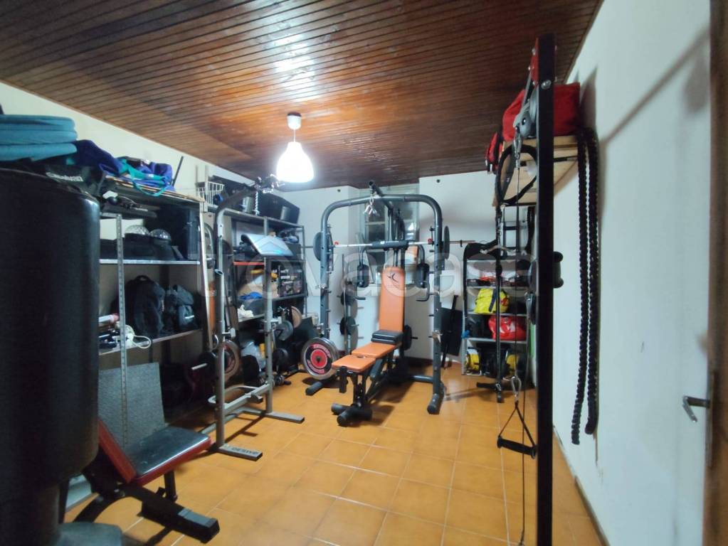 immagine annuncio 7 di 14