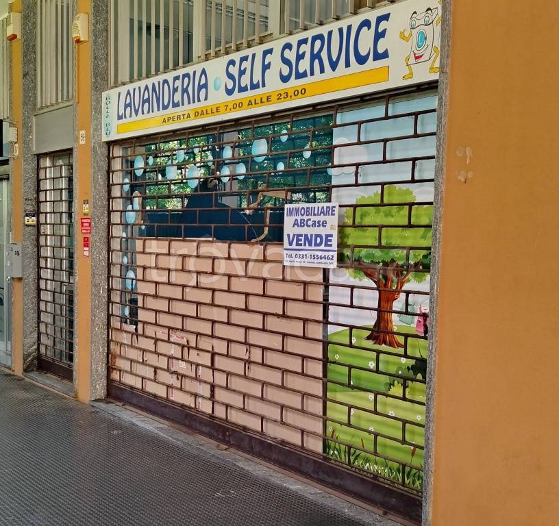 immagine annuncio 9 di 14