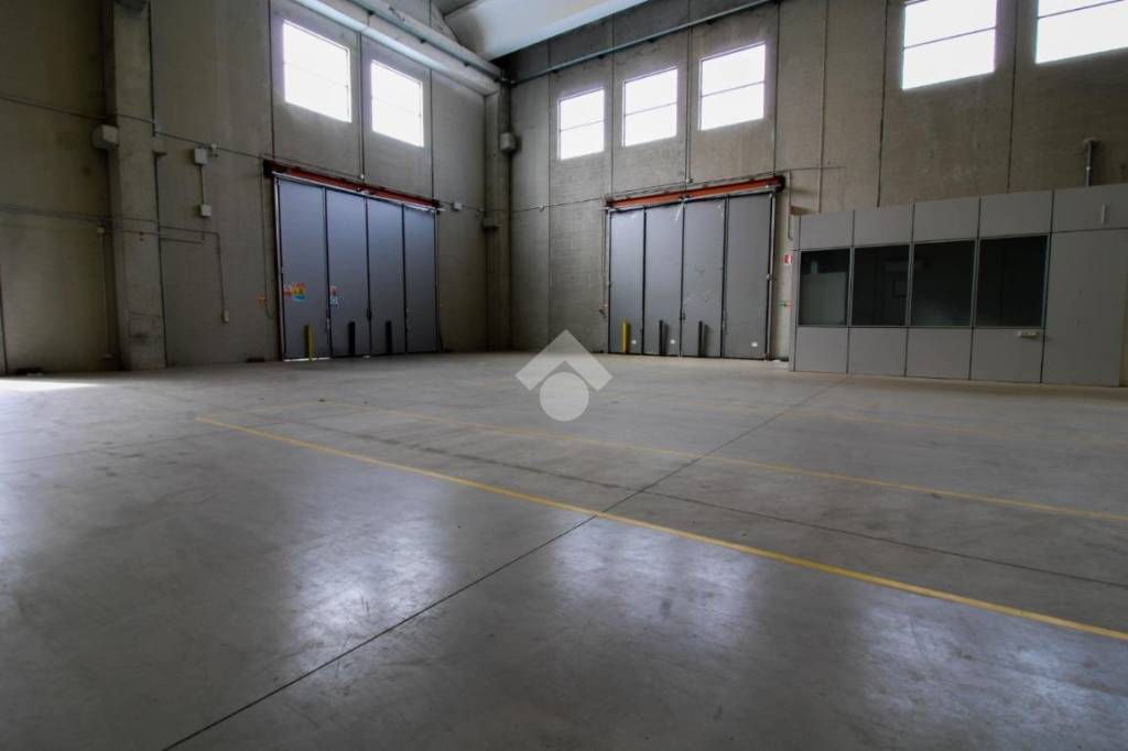 immagine annuncio 3 di 14