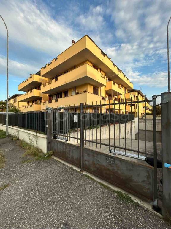 immagine annuncio 3 di 14