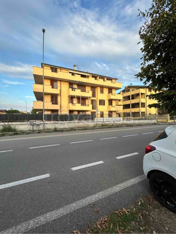 immagine annuncio 6 di 14