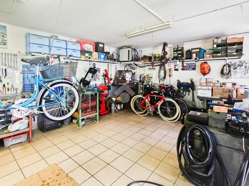 immagine annuncio 5 di 12