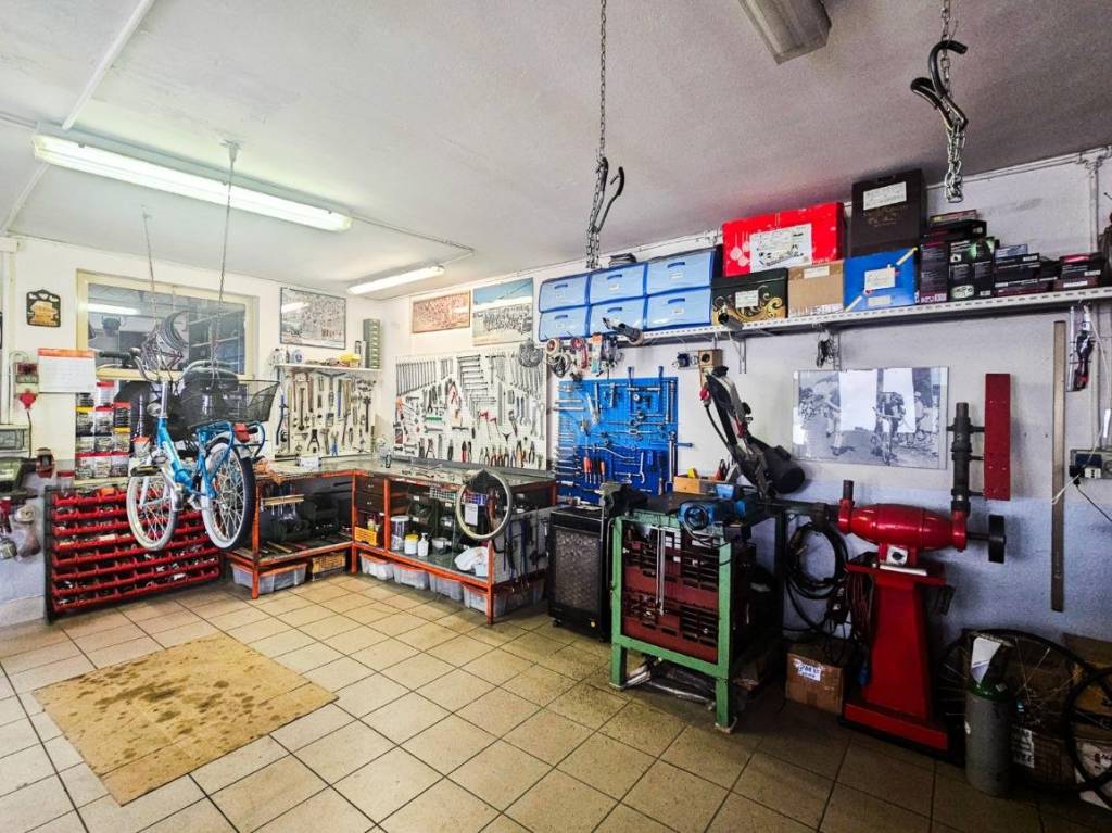 immagine annuncio 6 di 12