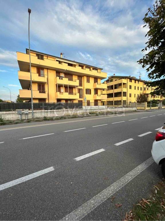 immagine annuncio 9 di 14