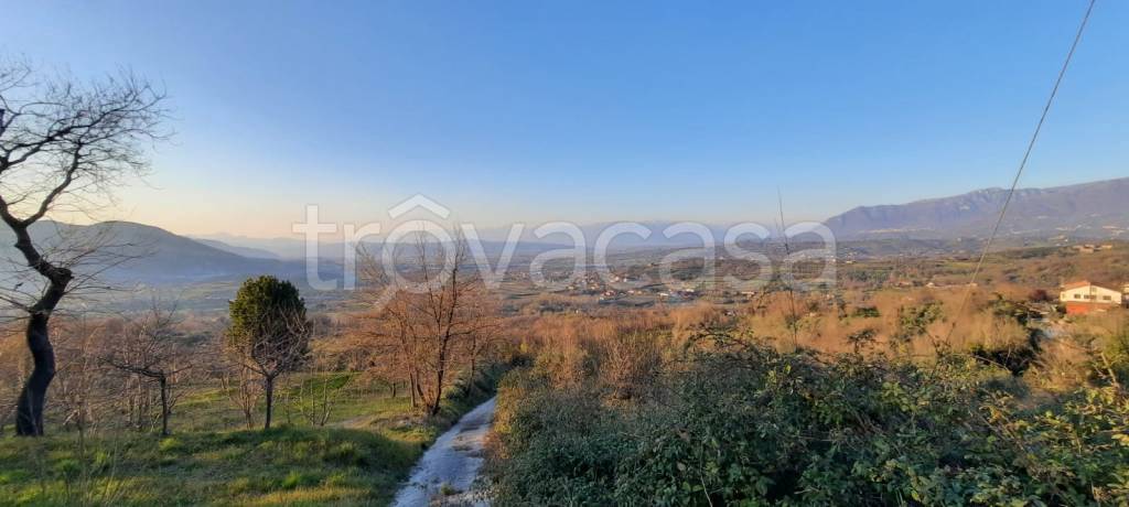 immagine annuncio 7 di 8