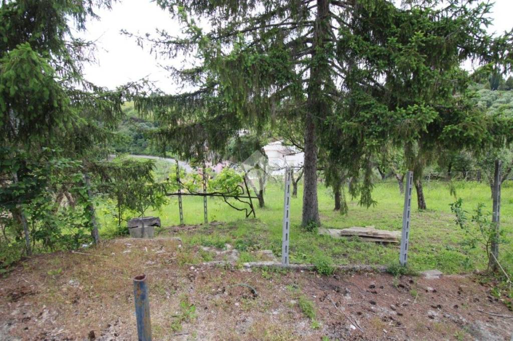 immagine annuncio 1 di 8