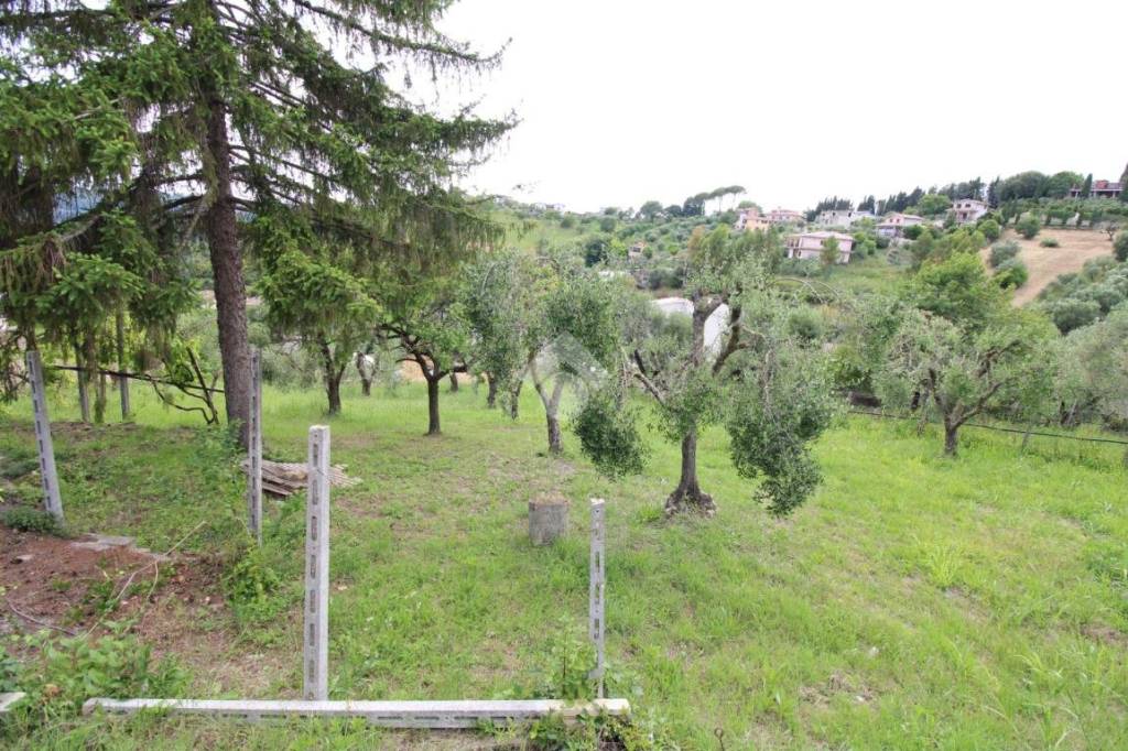 immagine annuncio 4 di 8