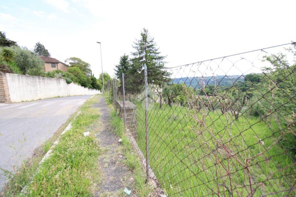 immagine annuncio 5 di 8