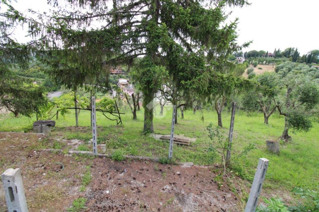 immagine annuncio 6 di 8