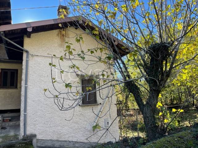 immagine annuncio 6 di 11