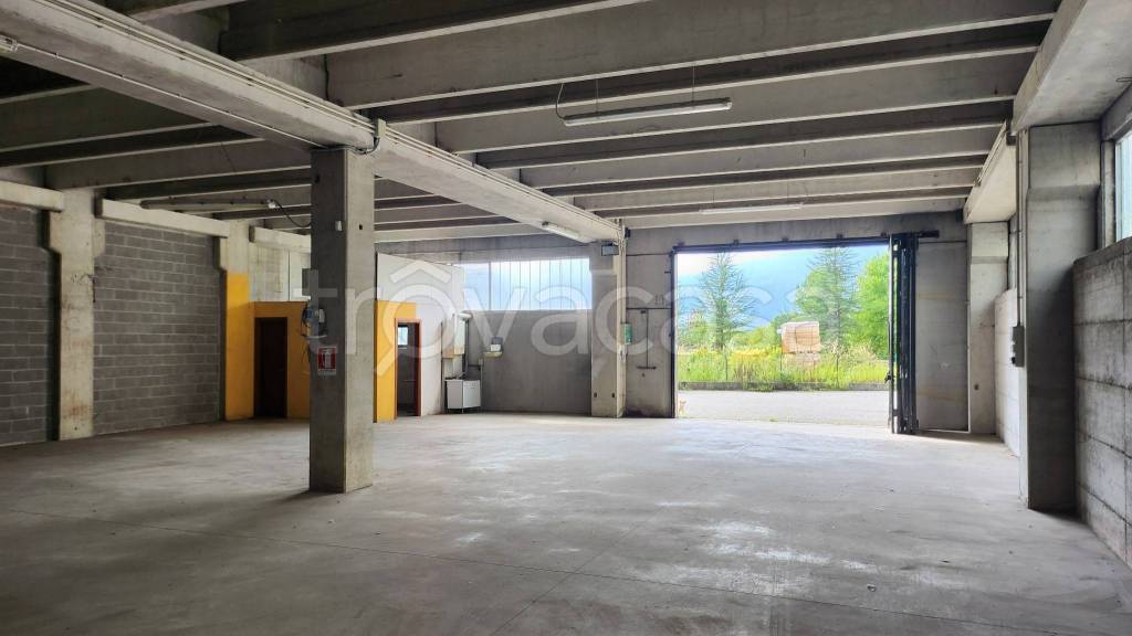 immagine annuncio 9 di 13