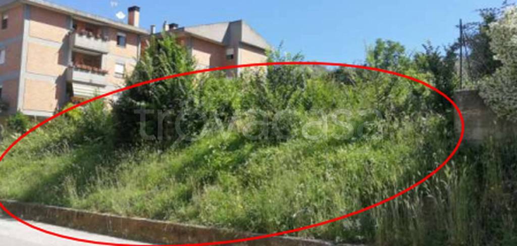 immagine annuncio 2 di 11