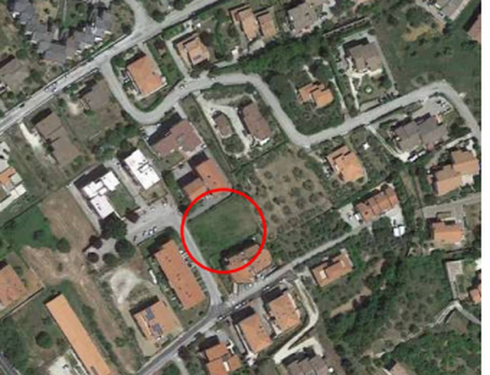 immagine annuncio 3 di 11