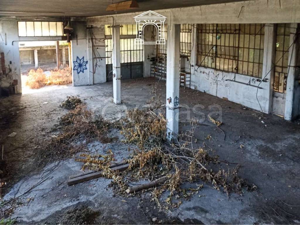 immagine annuncio 3 di 6