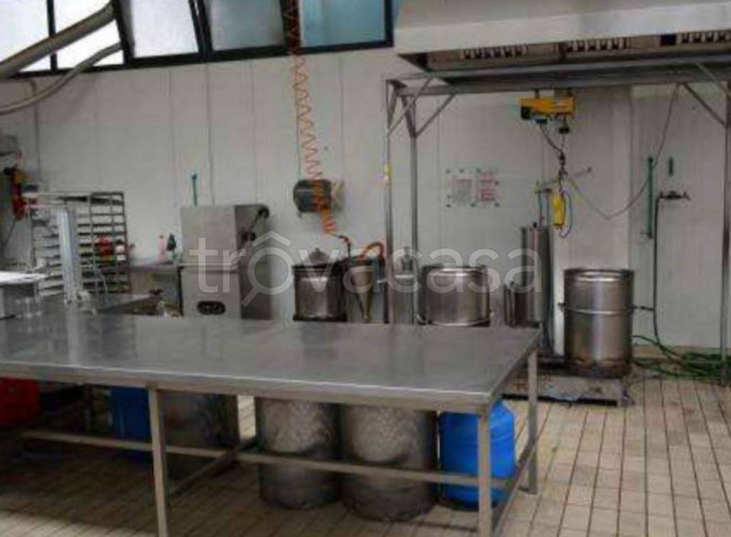 immagine annuncio 5 di 14