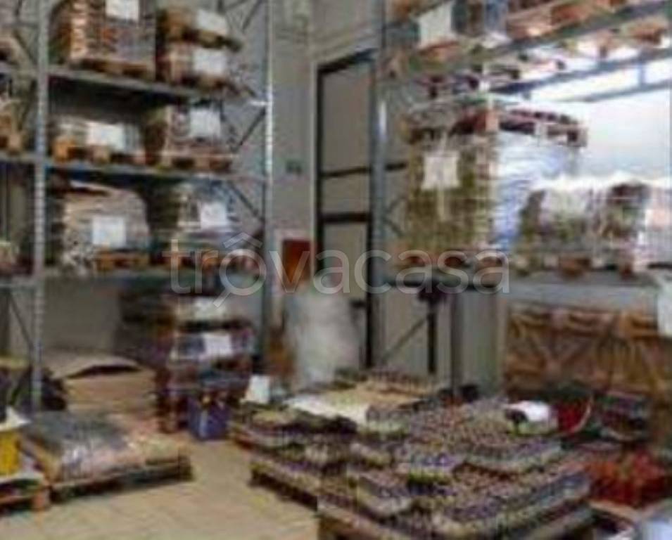 immagine annuncio 8 di 14