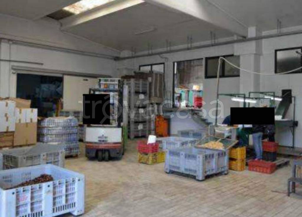 immagine annuncio 10 di 14