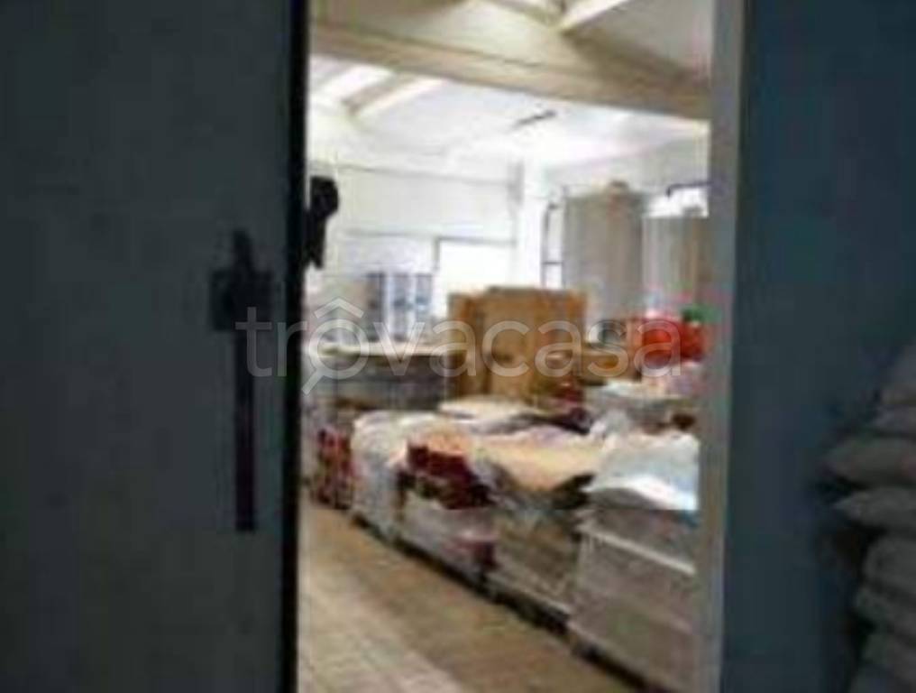 immagine annuncio 12 di 14