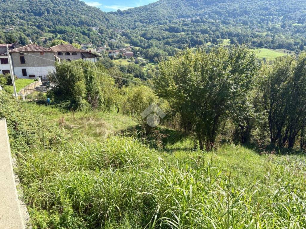 immagine annuncio 5 di 14
