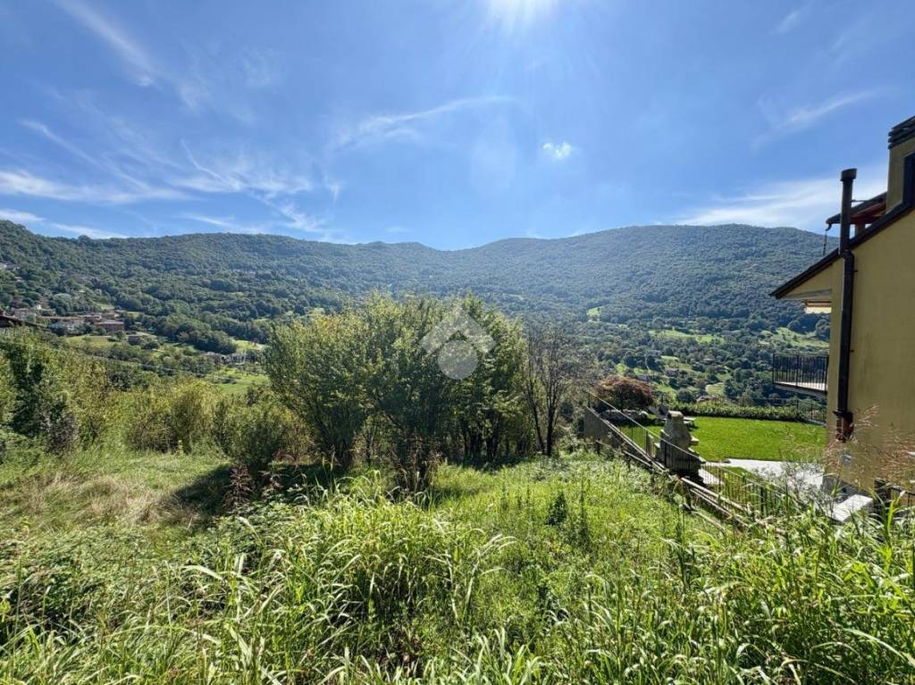 immagine annuncio 6 di 14