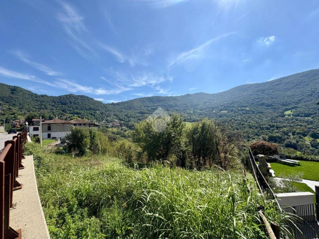 immagine annuncio 7 di 14