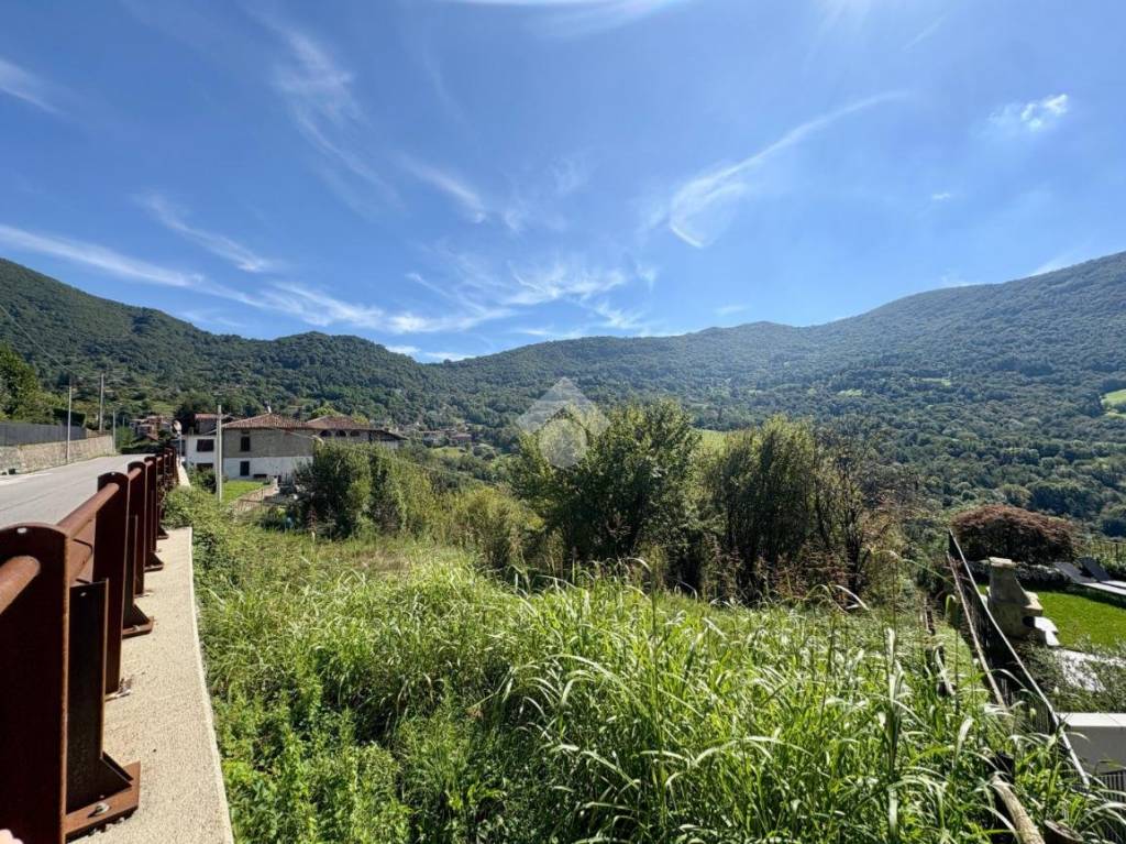 immagine annuncio 9 di 14