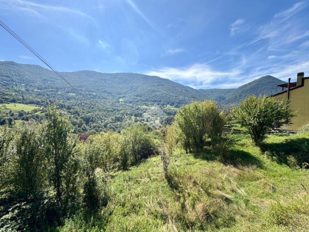 immagine annuncio 10 di 14