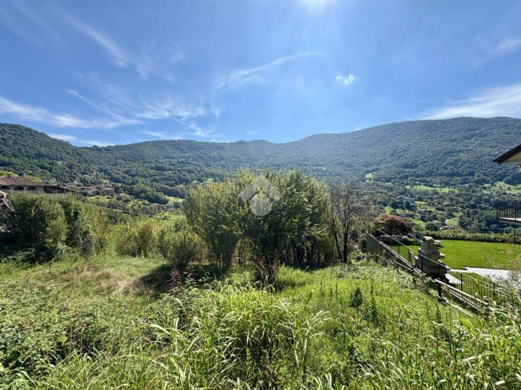 immagine annuncio 11 di 14
