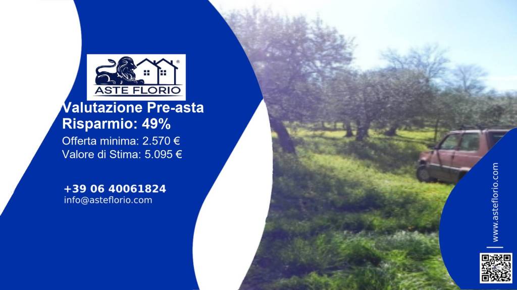 immagine annuncio 1 di 12