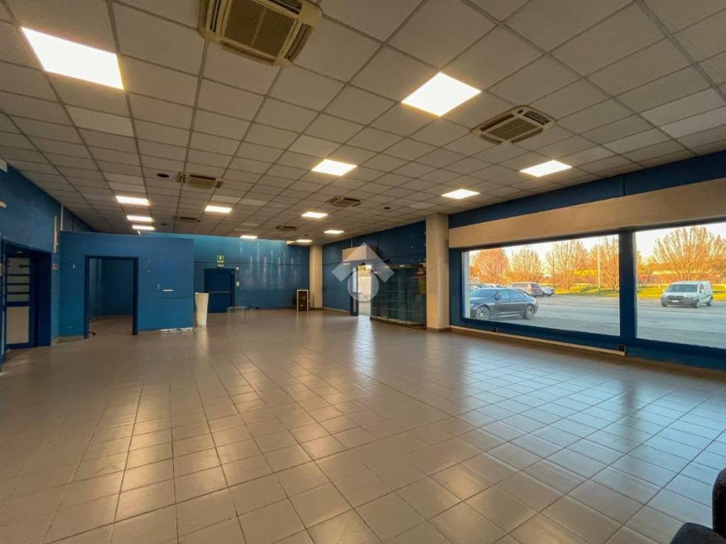 immagine annuncio 7 di 15