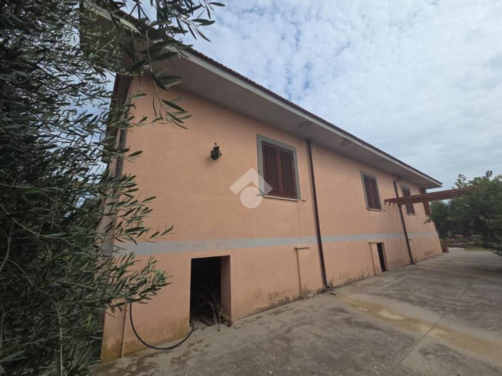 immagine annuncio 3 di 9