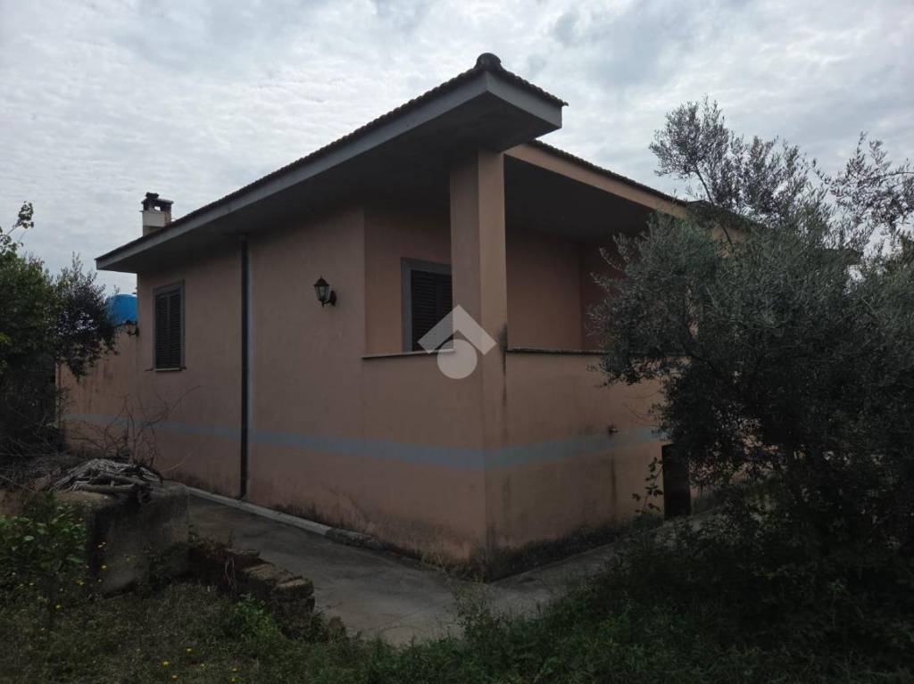 immagine annuncio 4 di 9