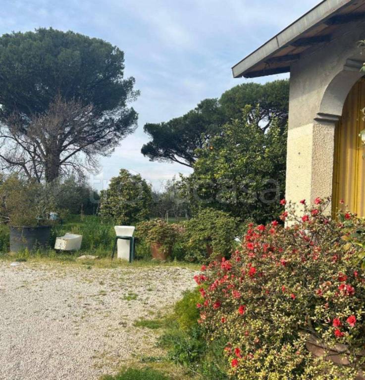 immagine annuncio 5 di 14