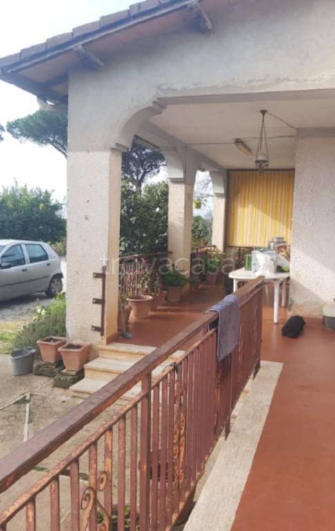 immagine annuncio 11 di 14