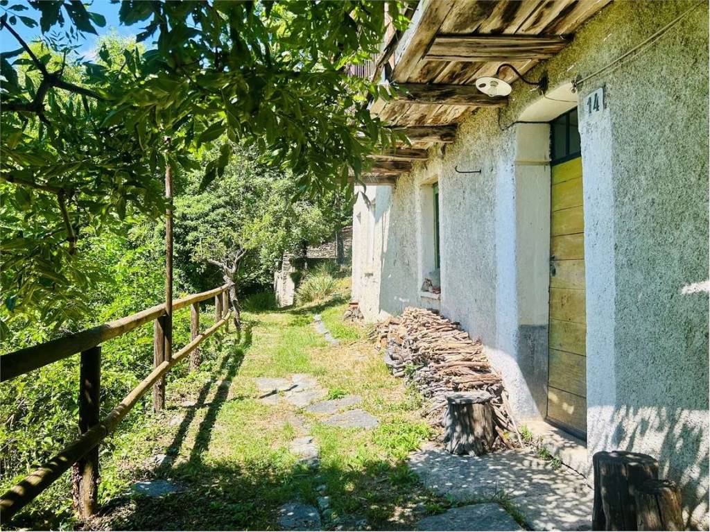 immagine annuncio 3 di 15
