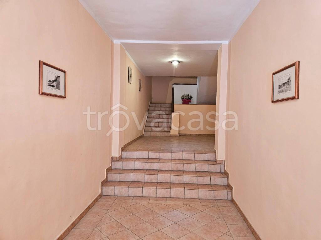 immagine annuncio 9 di 14
