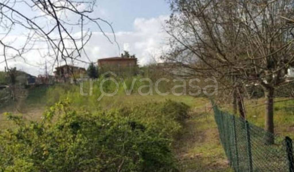 immagine annuncio 6 di 11
