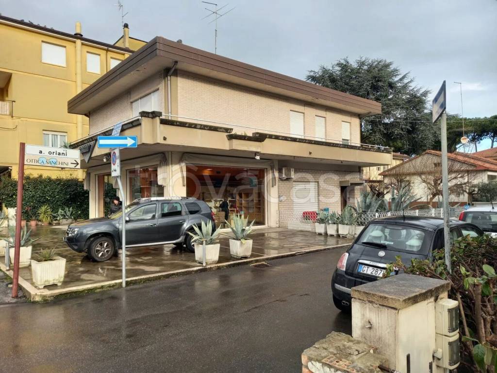 immagine annuncio 2 di 4