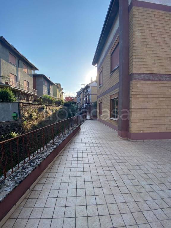 immagine annuncio 3 di 12
