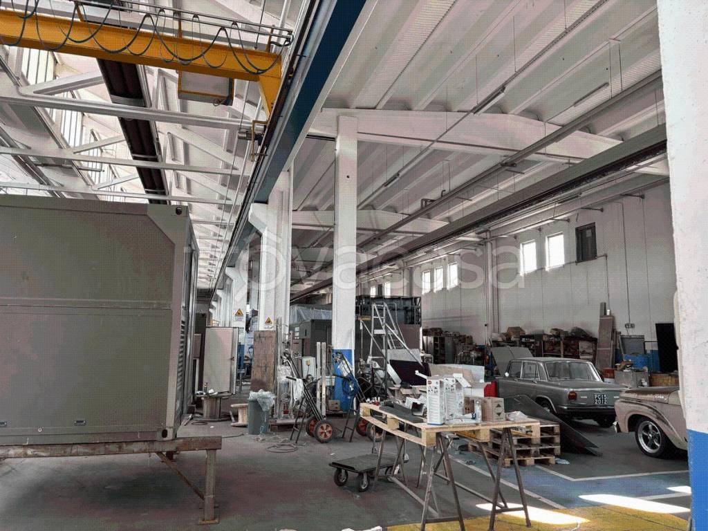 immagine annuncio 1 di 12