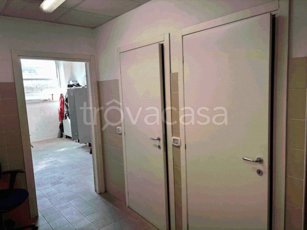 immagine annuncio 5 di 12