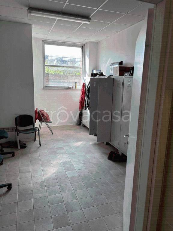 immagine annuncio 6 di 12