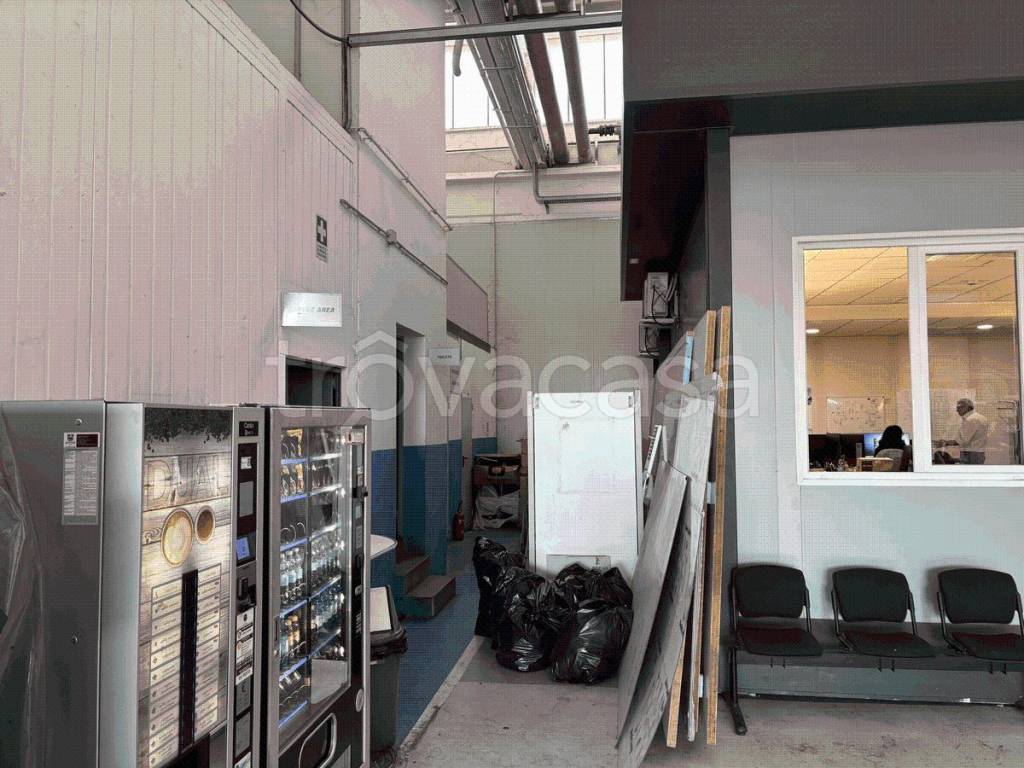 immagine annuncio 10 di 12