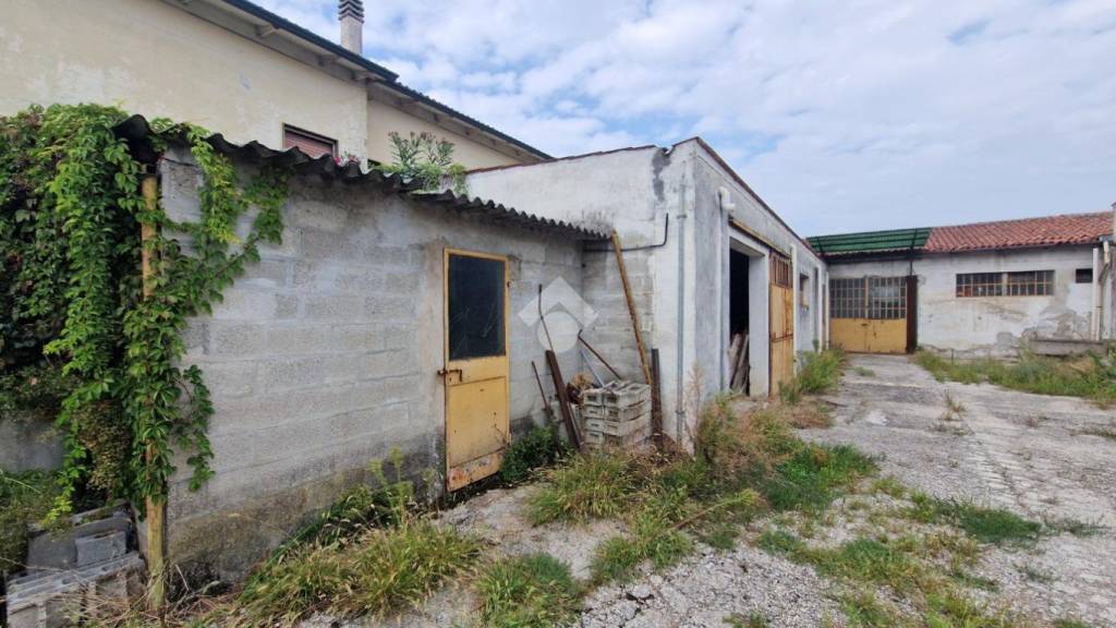 immagine annuncio 4 di 8