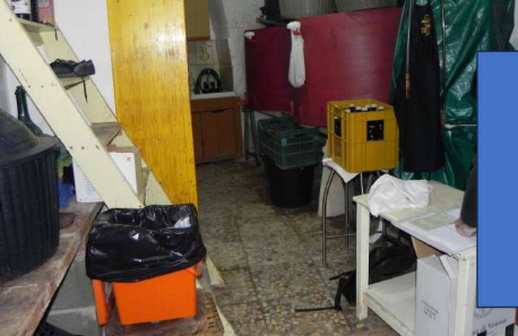 immagine annuncio 9 di 11