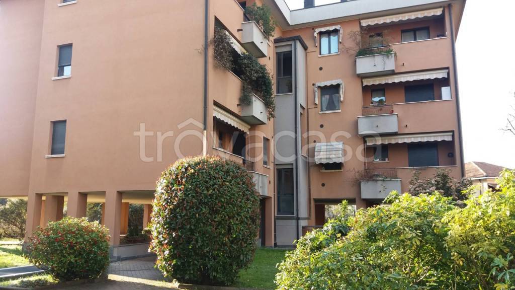 immagine annuncio 1 di 12