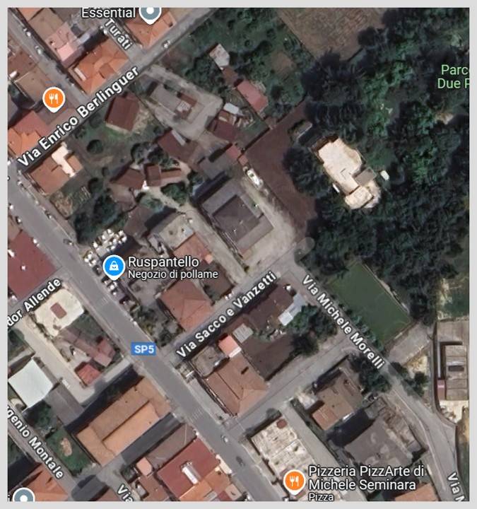 immagine annuncio 5 di 15